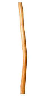 Medium Size Natural Finish Didgeridoo (TW1667)